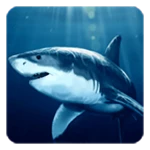 shark live wallpaper android application logo